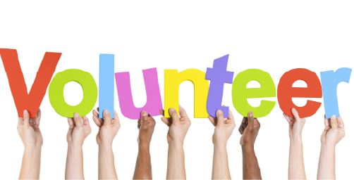 Volunteer Program